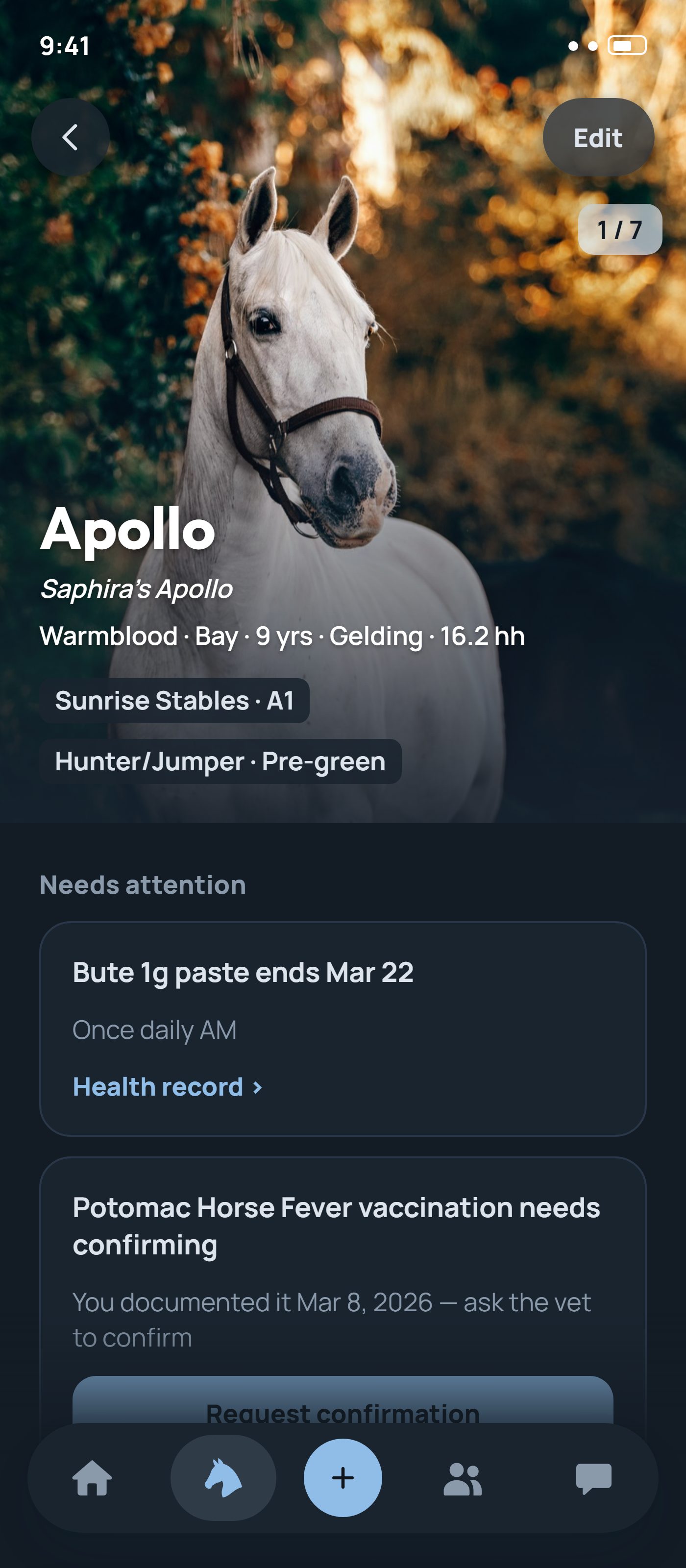NayNay horse profile screen showing Apollo's health, training, and appointment details