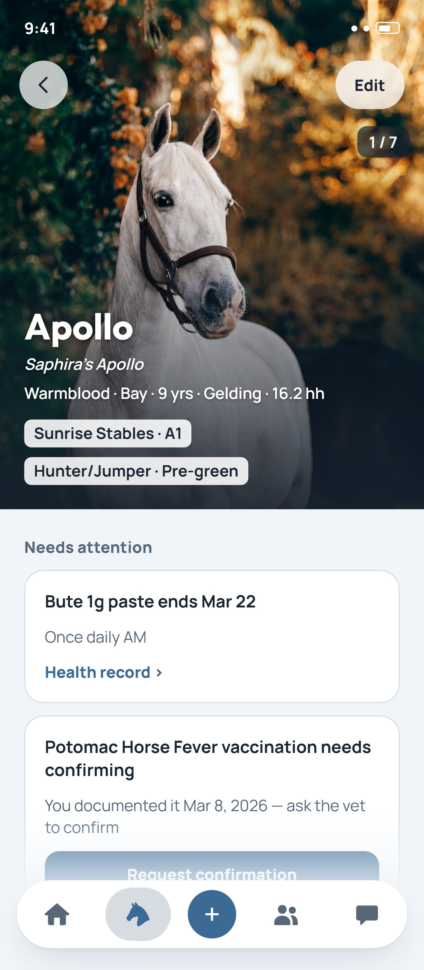 NayNay horse profile screen showing Apollo's health, training, and appointment details